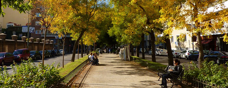 Juan Bravo Street - Salamanca district